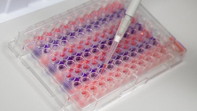 ألمانيا تتصدى لمطامع ترامب بشأن لقاح كورونا