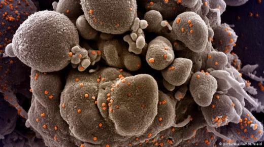 النسخة المتحورة من “كوفيد-19″وصلت إلى 60 دولة ضمنها المغرب..