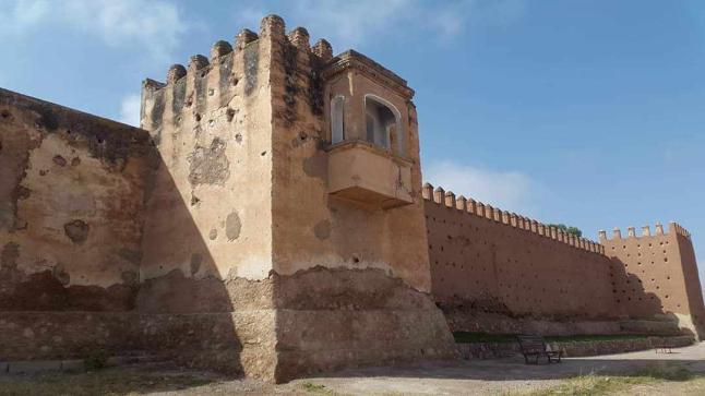 الدرب الطويل: نص شعري للمبدع ياسين لمقدم..