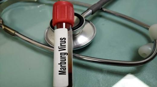 الصحة العالمية تعلن عن أول إصابة بفيروس ماربورغ في غرب افريقيا