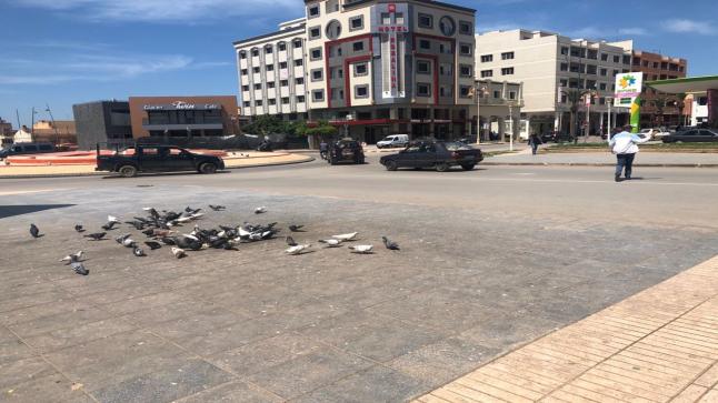 بعد أن أصبحا من الماضي.. السوق المغطى وساحة النصر يشعلان فتيل التذمر والإستياء..