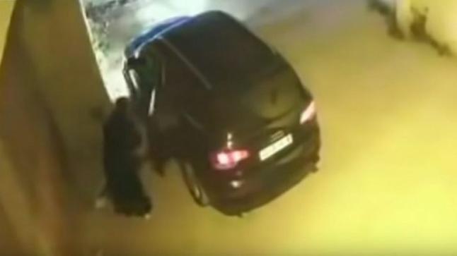 القضاء يدين المتسولة “مولات الكات كات” بالسجن النافذ..