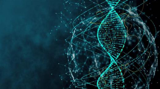 فكّ شيفرة الإنسان.. حقائق جديدة عن الحمض النووي قد لا تعرفونها