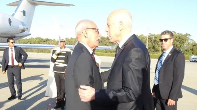 بسبب قرارات قيس سعيّد  تونس تخسر 500  مليون دولار من المساعدات