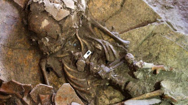 هل للعرب واليهود أصول واحدة؟.. فريق علماءآثار يؤكدون ذلك..