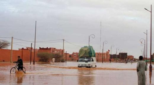 بعد 7 عجاف.. أمطار المغرب تحيي الآمال بإنقاذ الزراعة