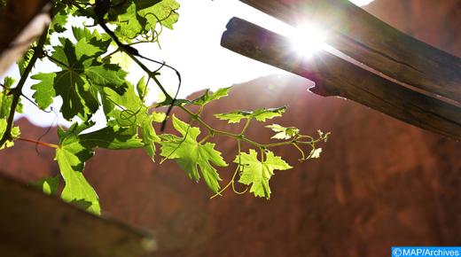 توقعات أحوال الطقس ليوم غد السبت..