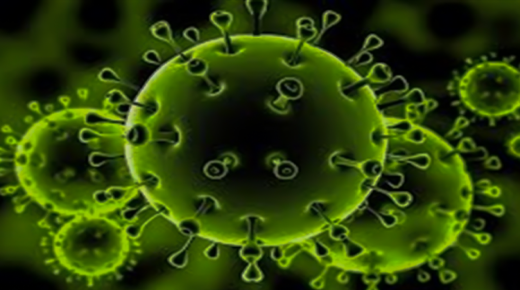 آخر المستجدات بالمغرب.. كورونا يودي بـحياة 44 شخصا ويصيب 691..