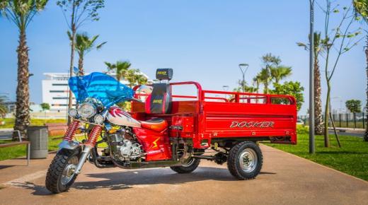 تفكيك شبكة خطيرة لتزوير تأمينات “التريبورتورات”