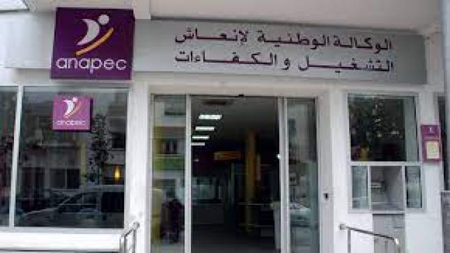 إطلاق مخطط تشغيلي لمواكبة 100 ألف من حاملي المشاريع والمقاولين الذاتيين￼