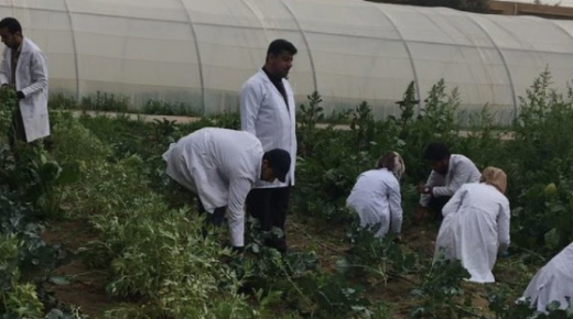 استطلاع: معظم موظفي القطاع الفلاحي فقدوا الثقة في النقابات..