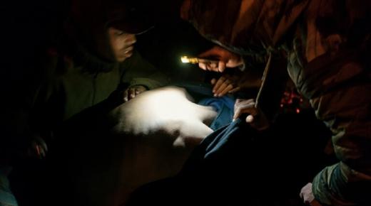 المغرب.. مصرع مهاجرين اثنين وتوقيف أكثر من 200 آخرين..