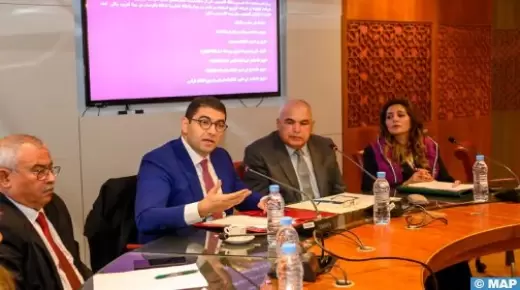 بنسعيد:الدعم العمومي للصحافة والنشر يروم الحد من الهشاشة وتقوية المقاولات الصحفية