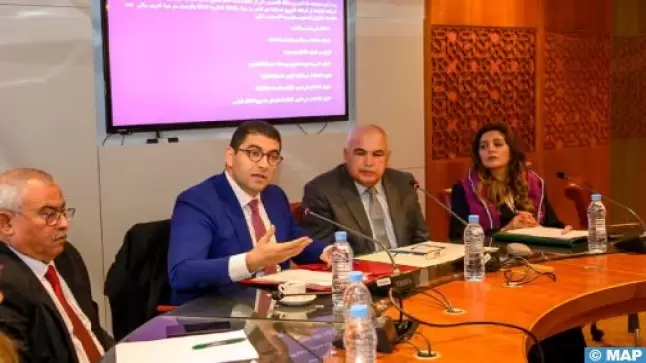 بنسعيد:الدعم العمومي للصحافة والنشر يروم الحد من الهشاشة وتقوية المقاولات الصحفية