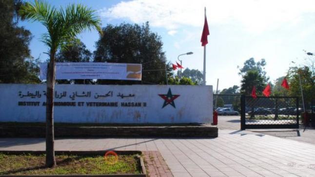 وزير الفلاحة يوضّح بخصوص“معاقرة الخمر” في معهد الحسن الثاني للزراعة والبيطرة بالرباط..