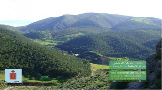 لماذا القفز على موارد تازة الايكولوجية في خريطة المغرب السياحية الوطنية ؟ ..