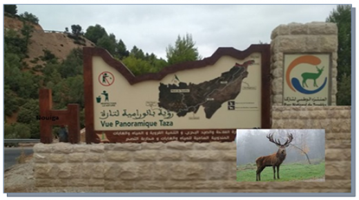 تازة: منتزه تازكا الوطني وروعة جبال في فصل الربيع..
