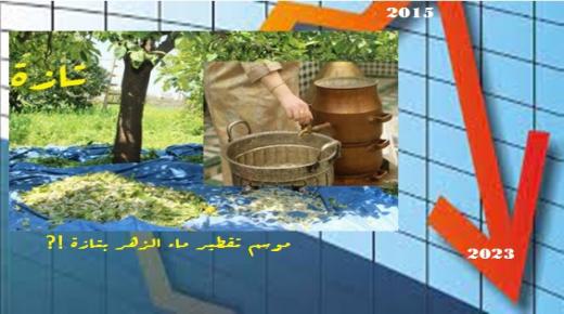 تازة: مهرجان تقطير الزهر بهرجة ومحطة ورقية لم تستفد منها المدينة شيئا يذكر..