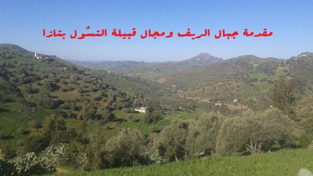 حول قبيلة التسُول في زمن وتراث تازة والمغرب اللامادي ..
