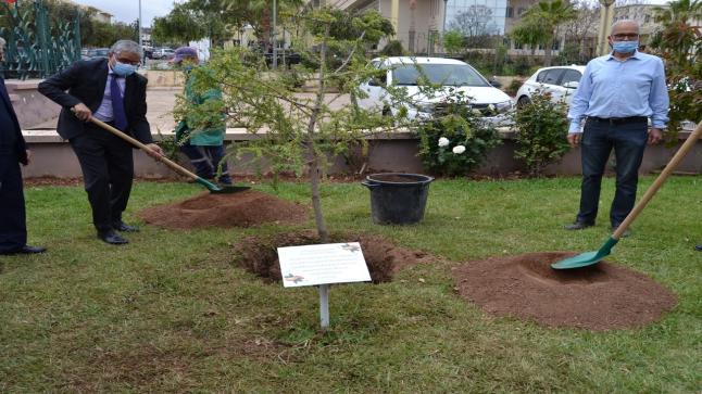 جامعة وجدة تخلد اليوم العالمي لشجرة الأرغان بعدة أنشطة وتوزع آلاف الأشجار على المؤسسات..