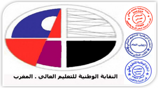 نقابة التعليم العالي ترفض كل تقزيم لأدوار المراكز الجهوية للتربية والتكوين