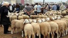 حزب الطليعة الديمقراطي الإشتراكي يقترح إلغاء “عيد الأضحى” بسبب ظروف جائحة كورونا..