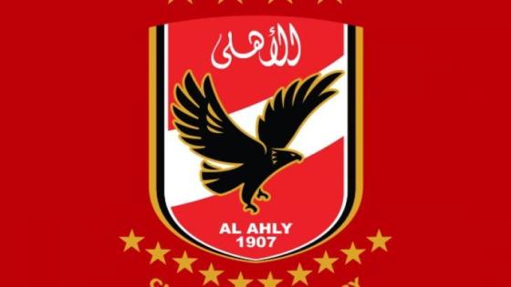 بطولة مصر: الأهلي يعلن تعاقده مع المغربي رضا سليم