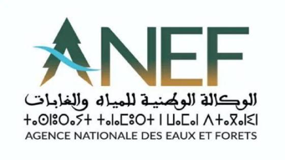 جرادة .. إنقاذ نسر بري وإعادة إطلاقه في بيئته الطبيعية..