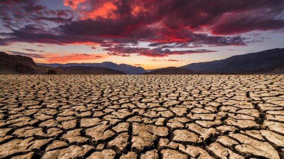 الأمم المتحدة تكشف عن مناطق ستصبح غير صالحة للحياة بسبب موجات الحر