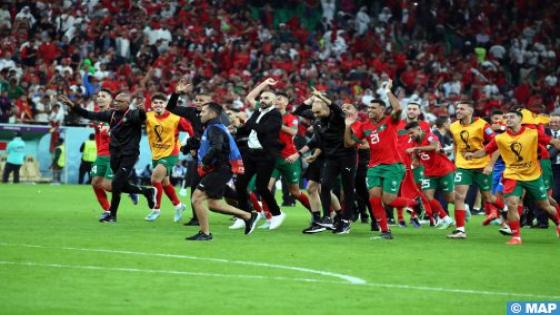 الأسود يضمنون منحة مالية ضخمة بعد التأهل لنصف نهائي مونديال قطر 2022
